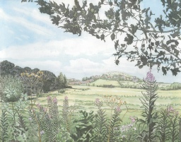 Beeston Bump near Sheringham