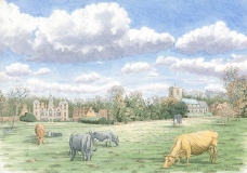 Grazing on hall Meadow