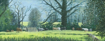 Cattle grazing at Hall Farm Meadow